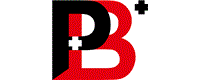 Job Logo - P+B GmbH & Co.KG