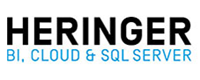 Job Logo - Heringer Consulting GmbH