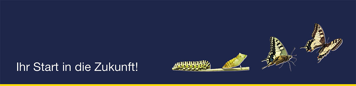 Headerbild Bihl+Wiedemann GmbH - IT Security Engineer / Experte für IT Sicherheit (m/w/d) - 7666495